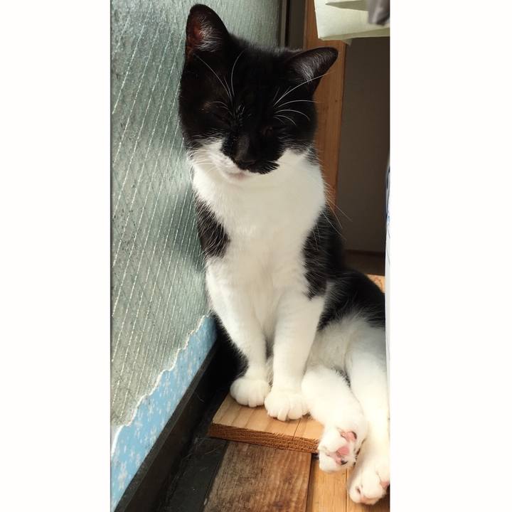 7f6bd539 875c 4f43 8dc5 9ccb647b5ee3 1551421045288