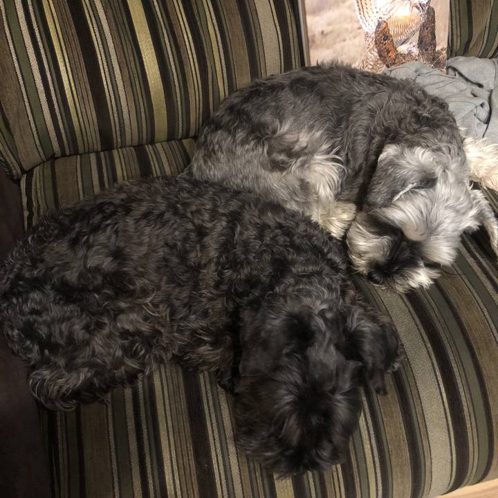 7f6bf1f4 e39e 409c 953f cd8b1ad6c3d2 1518349142688