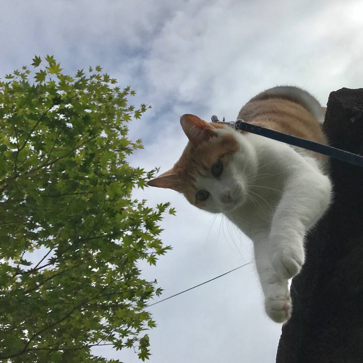 7f6c0841 b425 4ee2 a11d 74d969ba28b7 1537612808275