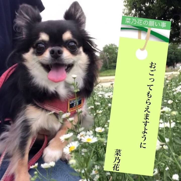 7f6c1da0 26f0 4263 ba5c fb23d03268e2 1594084049198