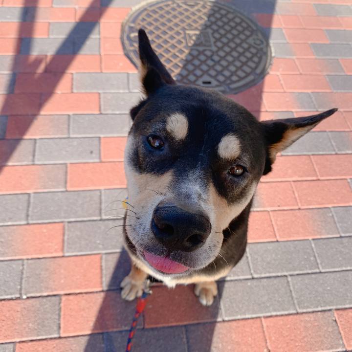 7f6c2c53 59df 4934 b6aa 7174dfbaf0dd 1567723720306