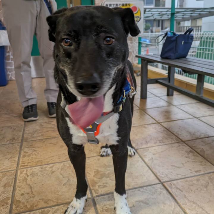 7f6c398c 6a41 41c2 a08e 934fd3853be9 1713868686389