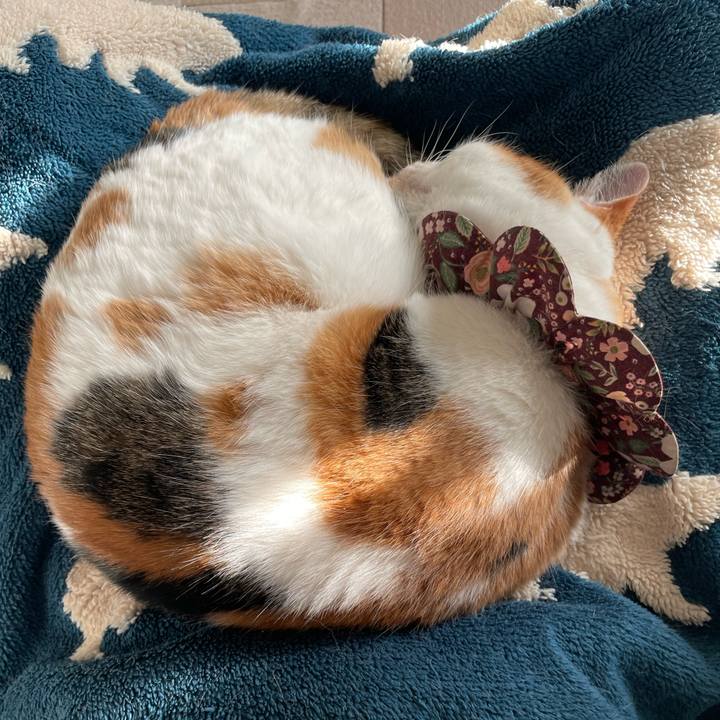 7f6c39df e5d9 4ca8 a2a1 abe568d0fa5a 1765006926810