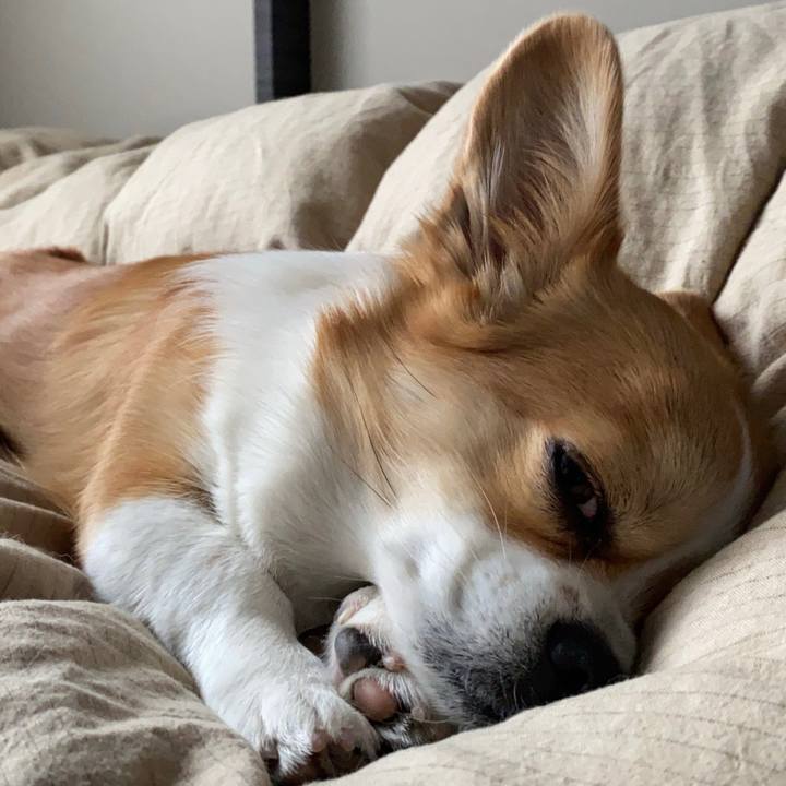 7f6c464f bbe3 48e7 a31c ac347411421a 1644996314208