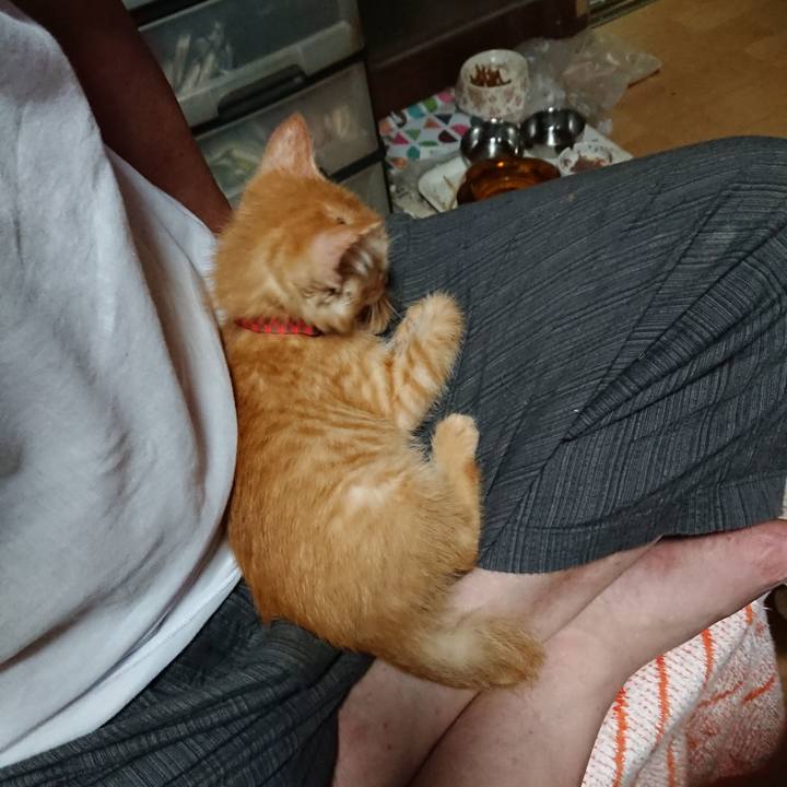 7f6c4ab4 a8ae 4da3 8219 b9b017f5f5d4 1628423055781