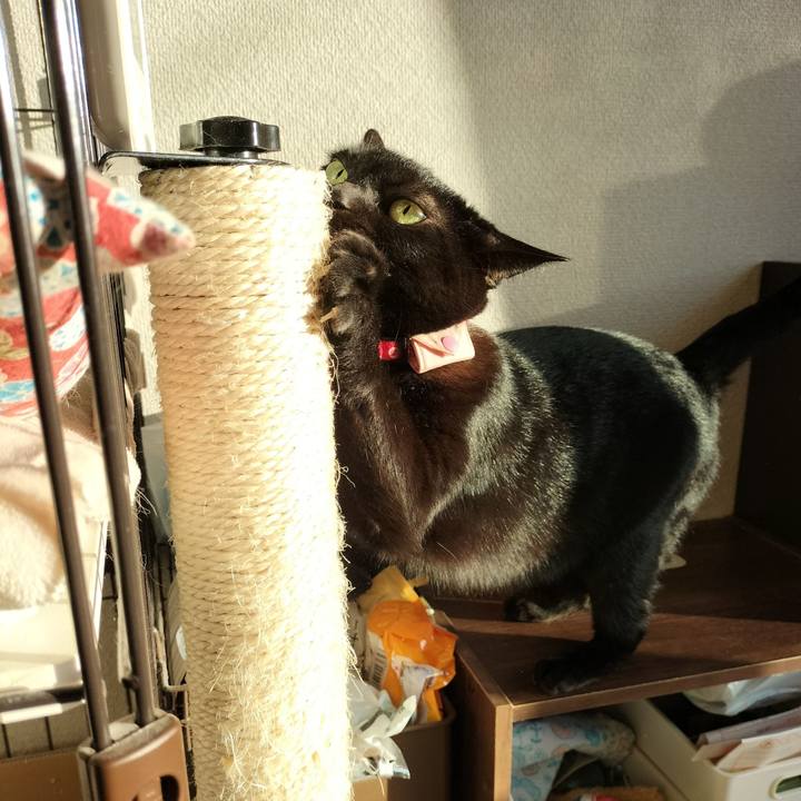 7f6c5ef4 5ea0 4edd 8a79 404b6eed3e5b 1635978618998