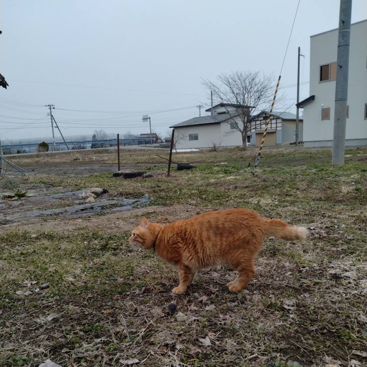 7f6c9923 369c 4398 a923 7763421ea5a2 1679091290196