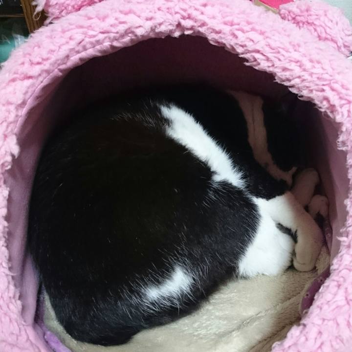 7f6ce5de bec9 4f98 87d3 2f476eeb671b 1525864458947