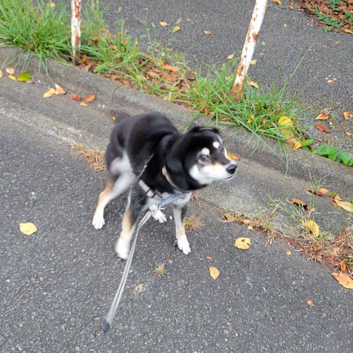 7f6cfa75 a4a8 406f 97b8 59a28f5129a9 1759966609805