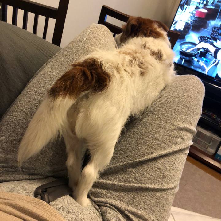 7f6d00d9 e019 4839 8eac 0fddb46f2cb3 1589291885774