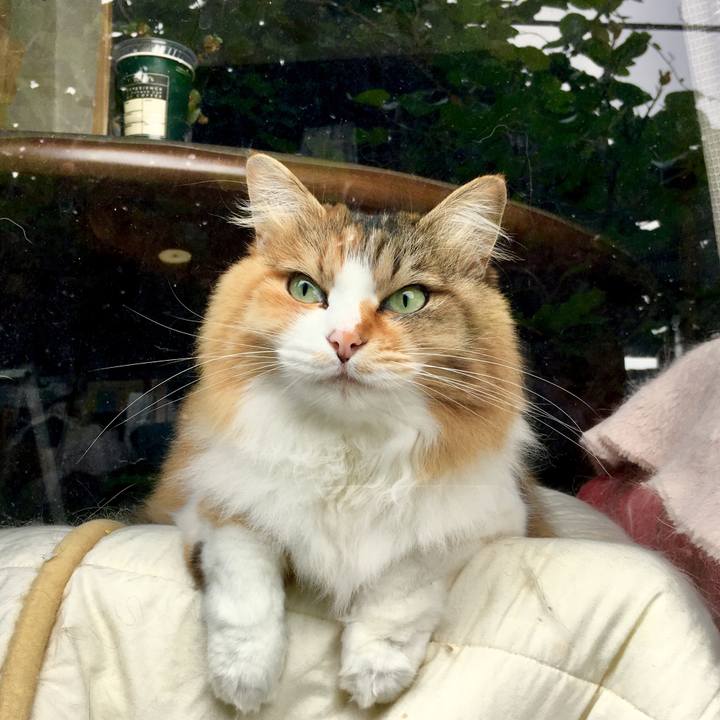 7f6d07f4 b581 4aea 9631 9ab5f6d14783 1561258291127