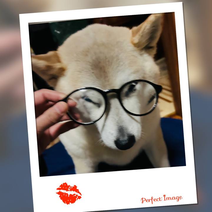 7f6d0859 8cfa 49fb a760 0f55ec3590fc 1739267712164