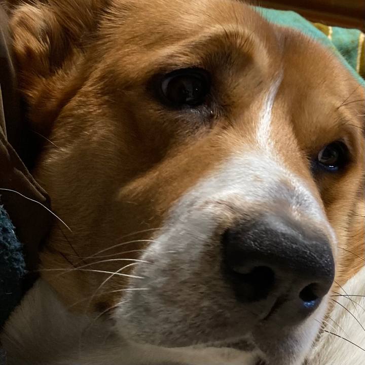 7f6d7384 576e 4db0 a223 bade83a9805a 1640180830725