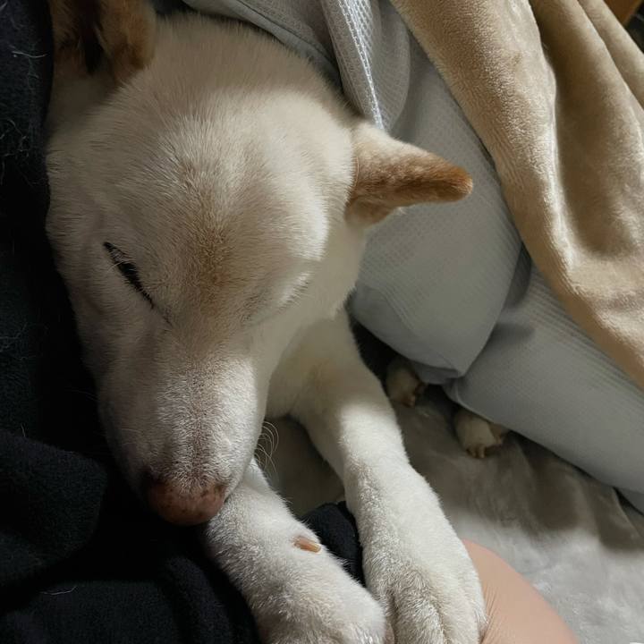 7f6d7666 f978 4dcb 9280 4f189b3a6597 1640589384480