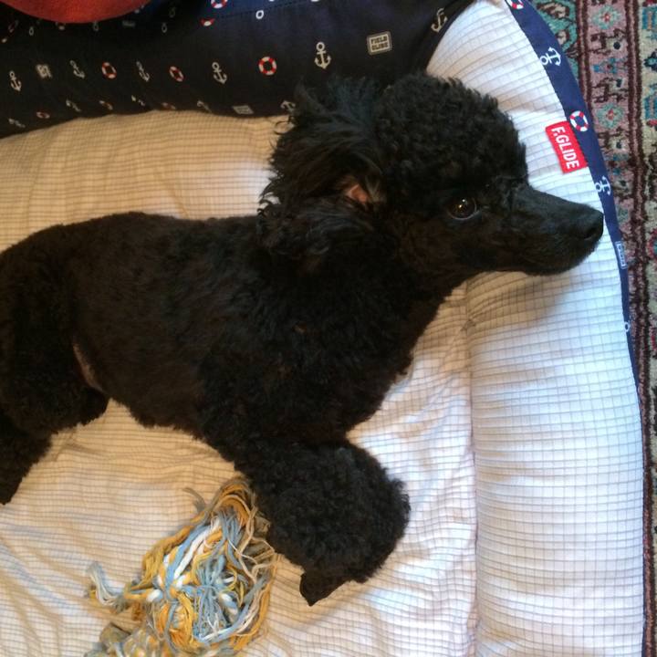 7f6dbe0f 6db2 425f ab4b 40e1ee6989f3 1563496255286