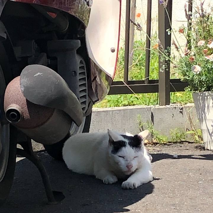 7f6dd9e5 985a 486d 849e fe8ef14f8d3b 1652697040017