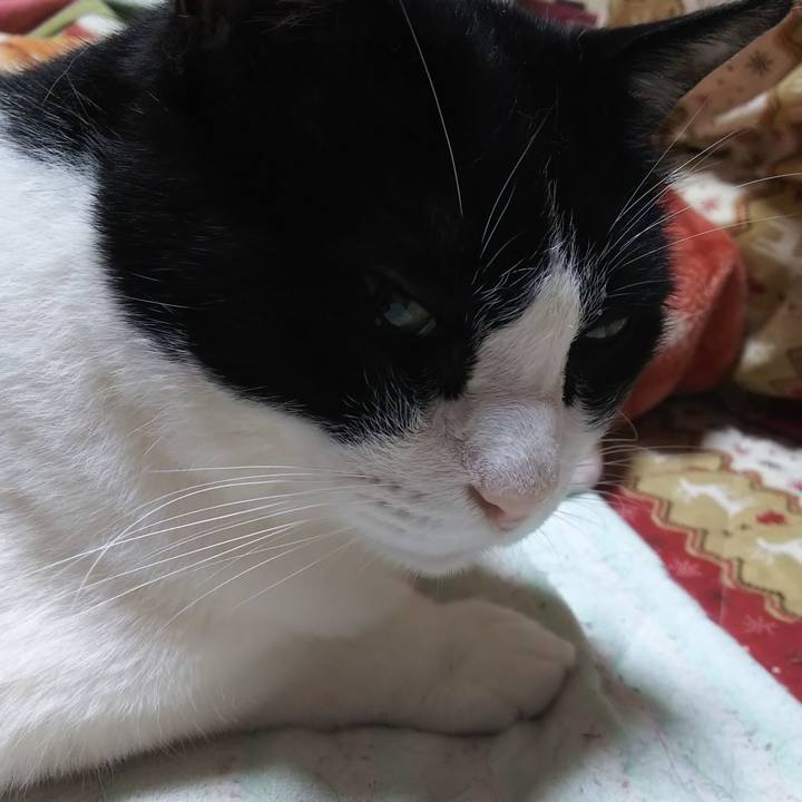 7f6ddfc1 b10f 4836 955a 4028574d78ea 1561067515813