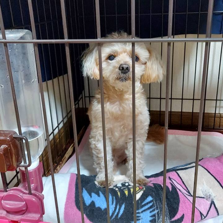 7f6df3bc 62f4 4677 81ff 83ea9f7a297e 1731579654479