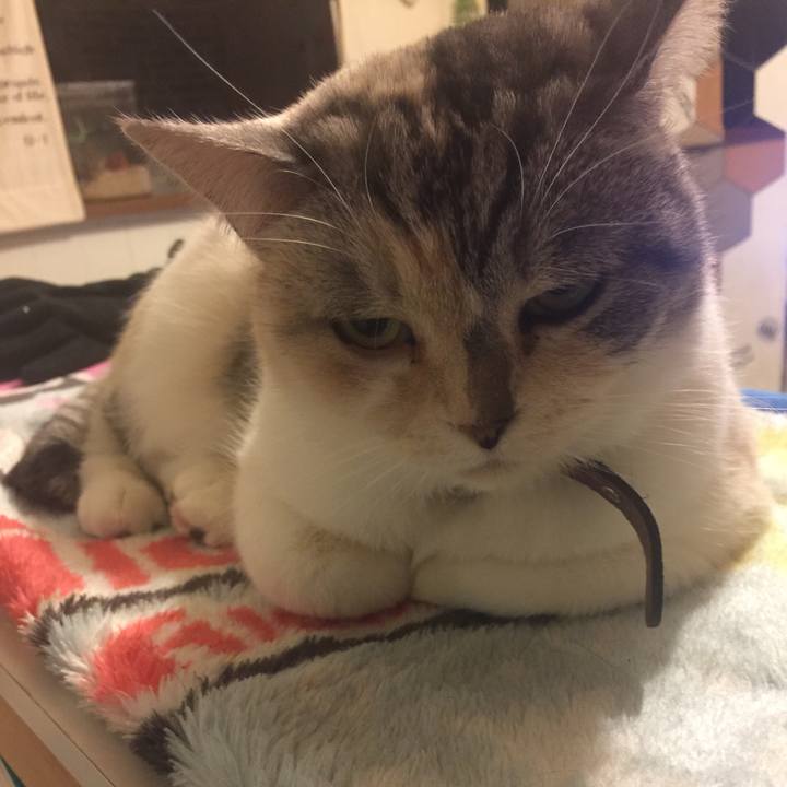 7f6e0fc7 7d4c 48ce a248 73e093668331 1547826153355