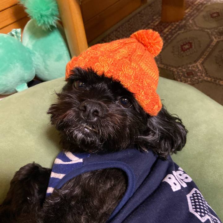 7f6e2116 d951 4f0a 94b1 bde3c1c0444e 1572183646939