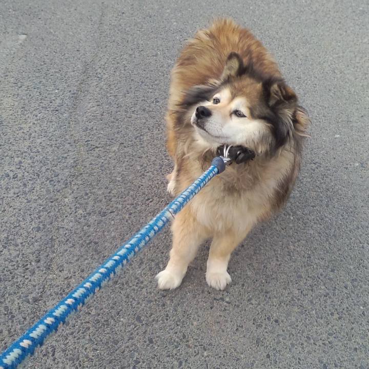 7f6e29ab 1817 4590 9023 257b6b16fef6 1606529161234