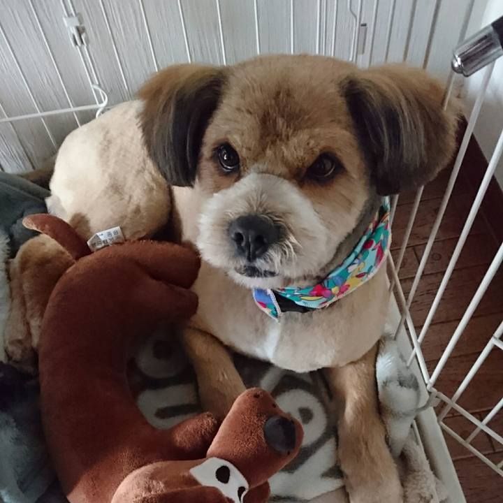 7f6e3c69 c557 4cb8 bc23 1b2aaf47253a 1523400718291