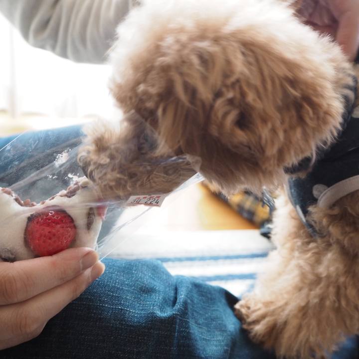 7f6eb118 9576 446c 894d 18c4381188db 1519516161115