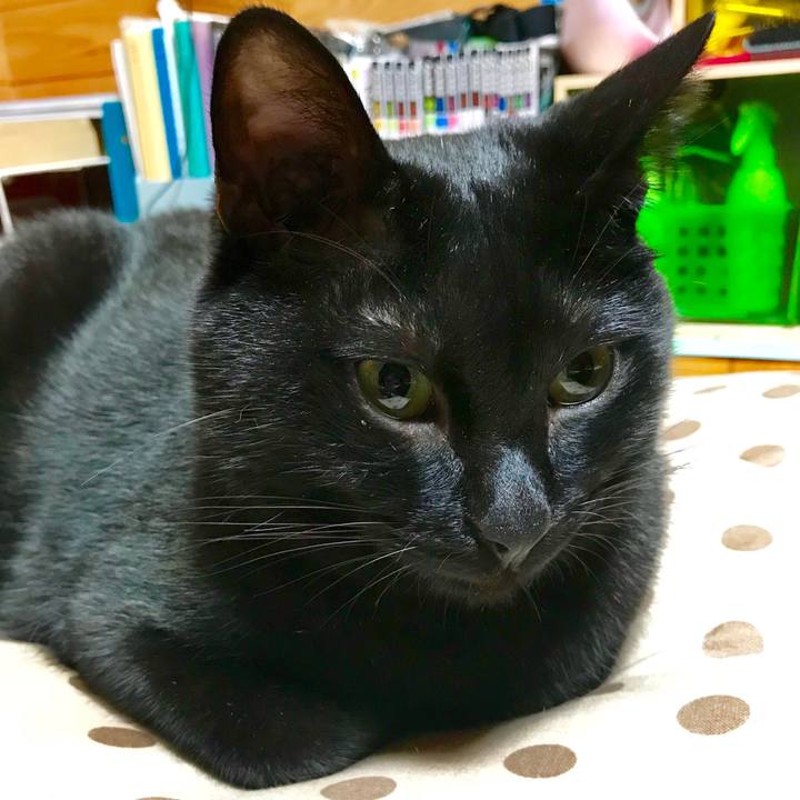 7f6ebb92 23ad 4c2d a80c eb71cba7a61d 1536412717071