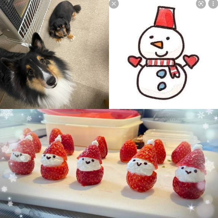 7f6ec398 e532 4a6b b79a e580e4080781 1639869948680