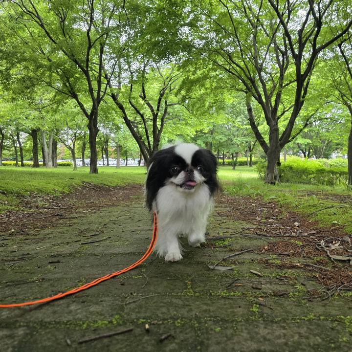 7f6ee04c c213 4882 9aab 2ed28c93d0e2 1747034575639