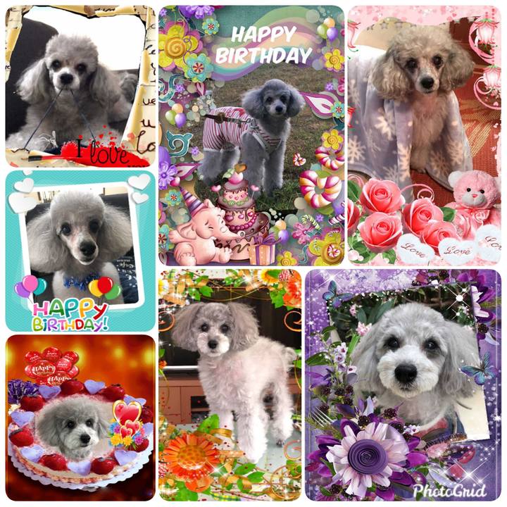 7f6ef14e 06d7 4c8f 970a 1595103a58d4 1573118919584