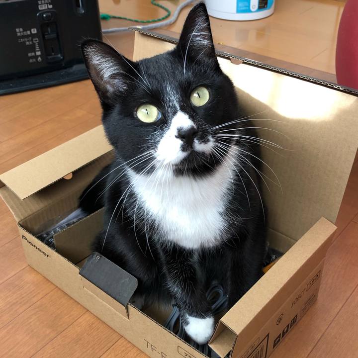 7f6efbd6 ca3f 468f 8bea 8bdbac9abf5d 1546761560565