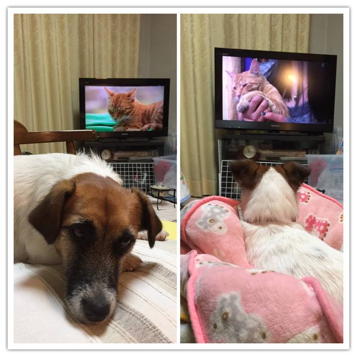 7f6f27c5 0a28 4af1 895b 3062daeef051 1517407373078