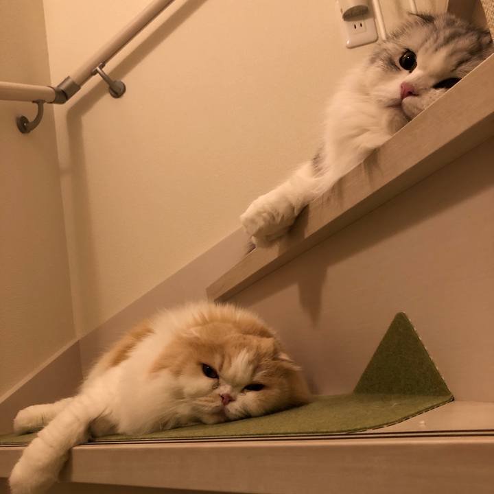 7f6f3483 b43d 4bcd 80fd cb90ae01f0b5 1655072359777