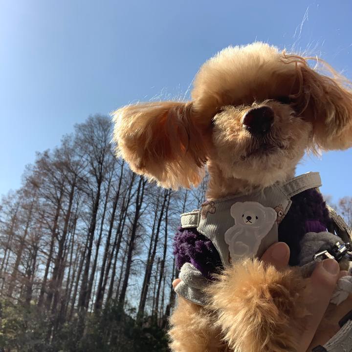 7f6f35c7 07d4 450c 800c 4e6fbc1924ed 1772580560294