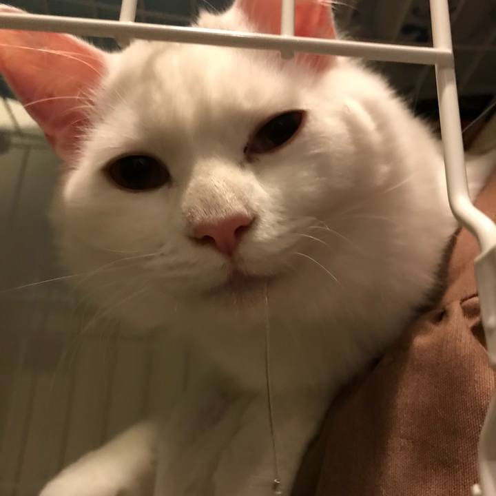 7f6f3d53 4212 4d64 8cc7 876cc4021da7 1518696168772