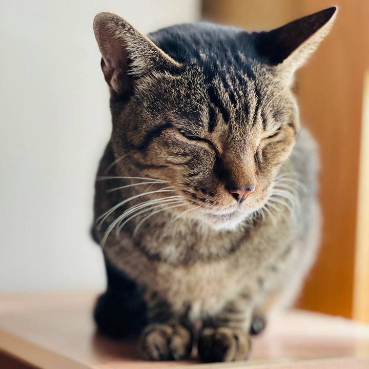 7f6f6c08 50eb 41ba bdb3 f40630bec1c2 1609721605069