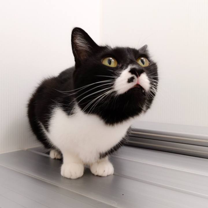 7f6f80d1 0985 43a5 8726 d909ae556806 1572277407827