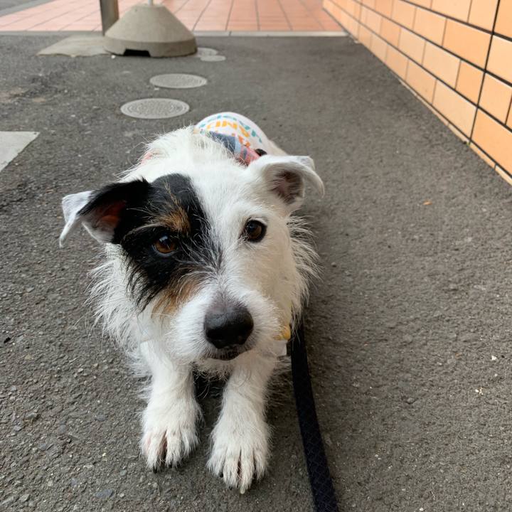 7f6fda22 b893 4625 b3b4 e7111b306656 1651193890780