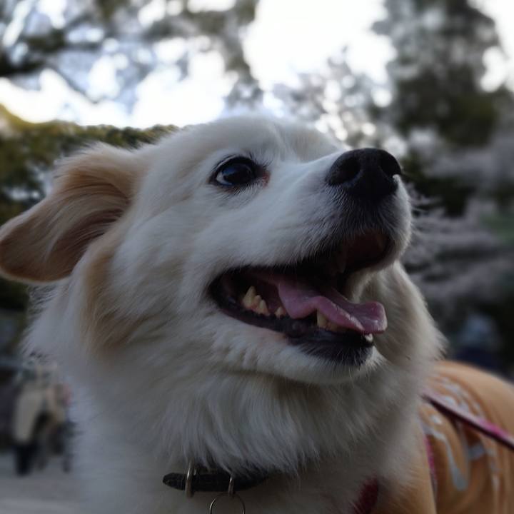 7f6feea7 3915 4c97 a5aa 727ef8cdfb00 1649024037230