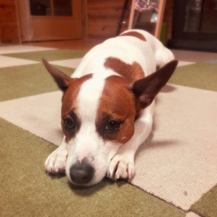 7f6ff24c 6032 4ada 902f c8ee11c9a9f9 1518784405880