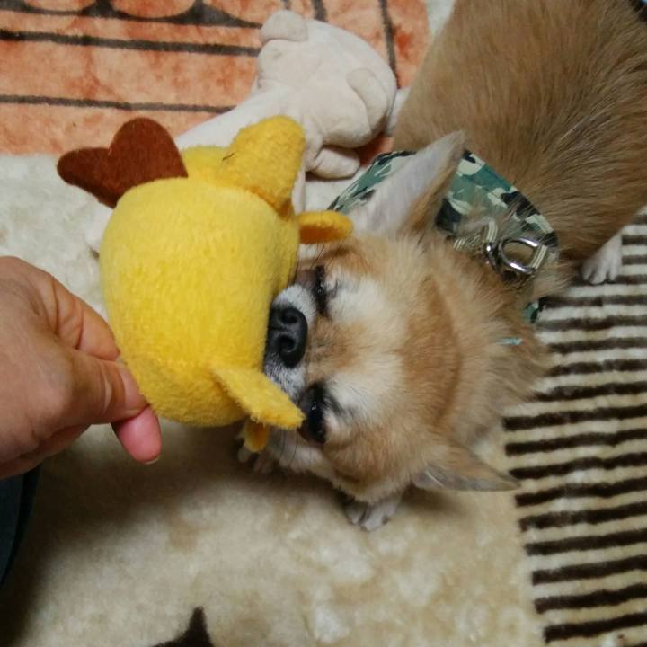 7f700091 f757 4609 b2b7 bcfa9c5e9bbd 1511603362288