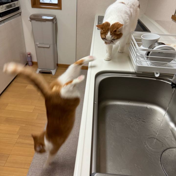 7f7044a7 7dce 4f13 b334 6f09d72b4388 1764725049710