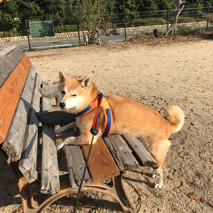 7f704c79 362f 4a6e 9f98 0f9a040c7045 1512032501874