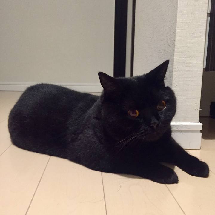 7f7055b3 300f 4623 8f03 74e4ecf5d32e 1564237260709