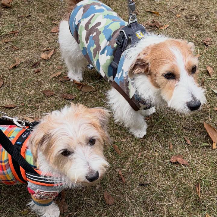 7f705a18 7582 4780 940d 089a8ea16725 1762087420374