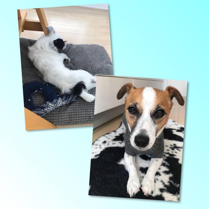 7f706f52 5003 4931 b166 8ca3f8603f95 1532394788241