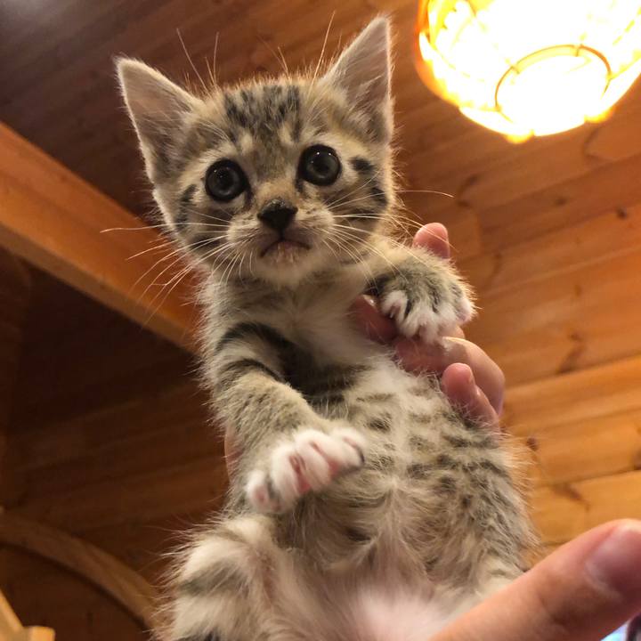 7f707904 f5e5 41a7 9d2b 1fc01559deb0 1540297683263