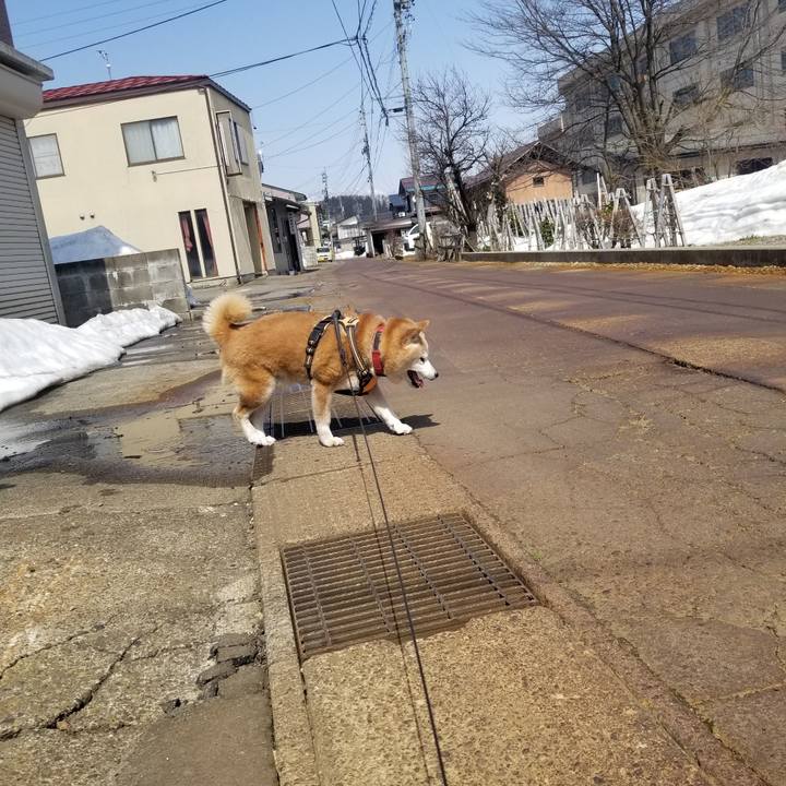 7f707981 d2f7 4931 94d4 280e277a1616 1742700042107