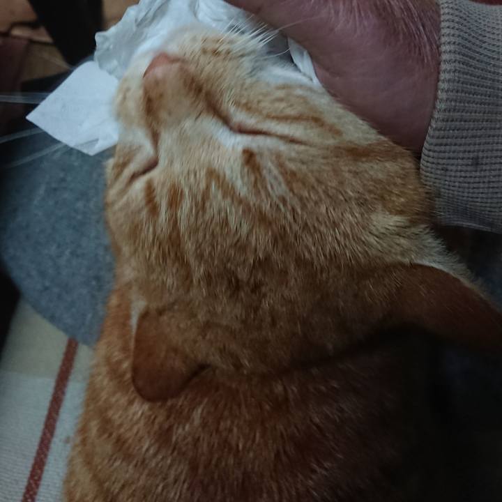 7f707cff 7182 4d3f 8104 6a8d33e88417 1577396654190